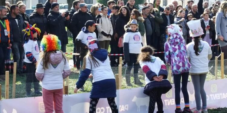Zabranjena trka za prasiće u Kačarevu: Ljubitelji životinja promašili ste temu!