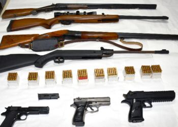 Pančevačka policija zaplenila arsenal oružja širom južnog Banata