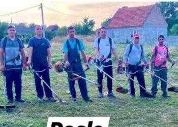 Mesna zajednica Dolovo organizovala akciju košenja u romskom kraju