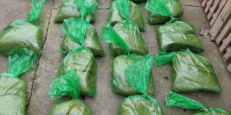 MUP: Kod Pančevke pronađeno 143 kilograma rezanog duvana bez porekla
