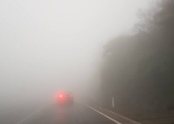 Gusta magla na većini putnih pravaca