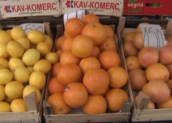 Pijačni barometar u Pančevu