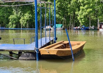 Ribolovci i nautičari očistili deo priobalja Tamiša u Pančevu
