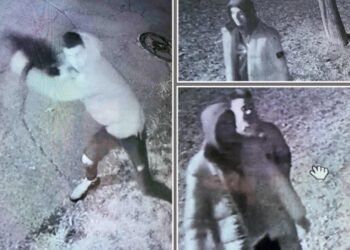 Đilasovci opet divljaju: Novi detalji vandalizma na Novom Beogradu (FOTO/VIDEO)