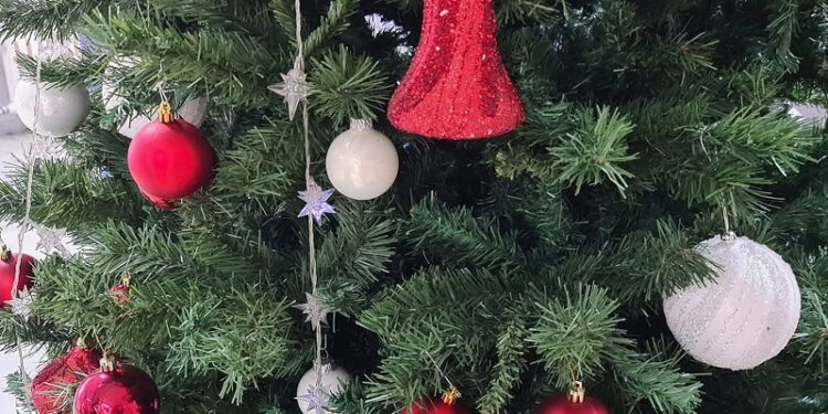 “Novogodišnja pančevačka čarolija” 29. decembra od 12 do 16 sati