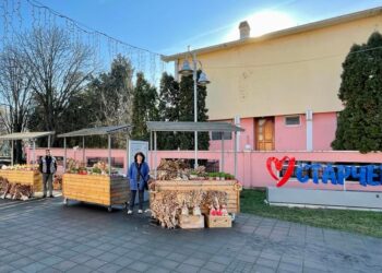 Mini-božićni bazar u Starčevu