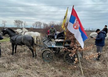 Starčevo: Odlazak po badnjak na Badnje jutro