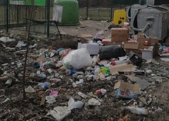 Higijena Pančevo: Uprkos apelima i dalje se otpad baca van kontejnera