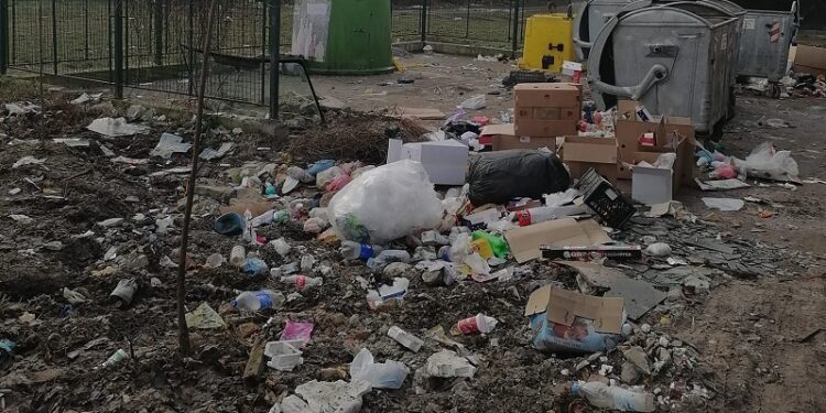 Higijena Pančevo: Uprkos apelima i dalje se otpad baca van kontejnera