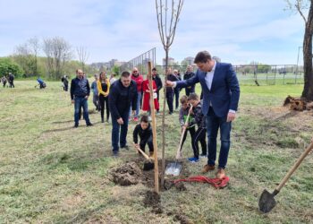U Pančevu sadnjom platana obeležen Dan planete Zemlje