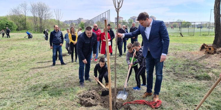 U Pančevu sadnjom platana obeležen Dan planete Zemlje