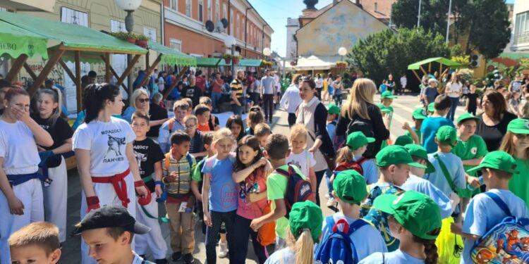 Stevanović: Pančevo kao grad sporta ima šta da ponudi deci