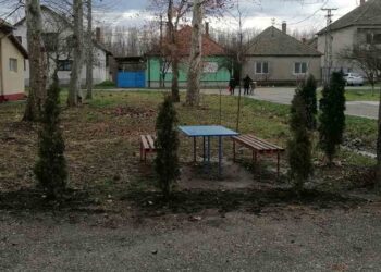 U Jabuci zasađeno 120 sadnica sibirskog bresta i tuje