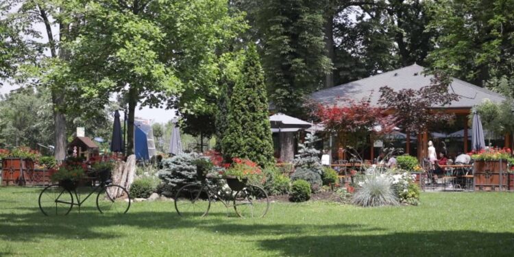JKP „Zelenilo“ brine o četiri parka i dva zelena trga u Pančevu