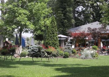 Nove cvetne rondele i još stabala u Narodnoj bašti