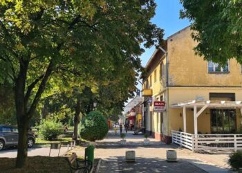 Ambulanta u Banatskom Novom Selu neće raditi zbog požara