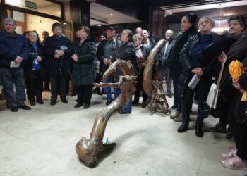 „Skulpture iz prirode“ u Plandištu