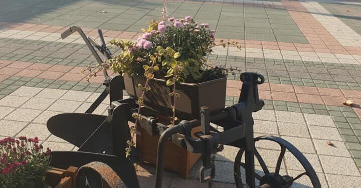 Jesenja dekoracija inspirisana banatskim pejzažem