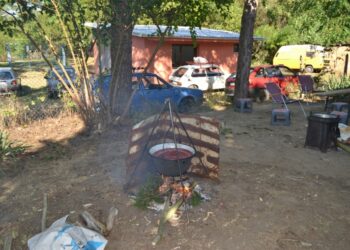 Jubilarna Gulašijada 21. avgusta u Šumarku kod Kovina