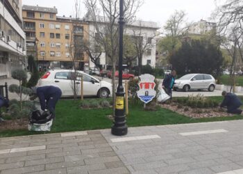 JKP ZELENILO: U toku je košenje zelenih površina širom grada