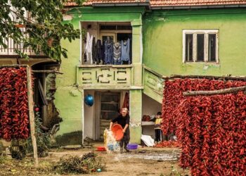 Izložene fotografije Milana Živkovića u galeriji Centra za kulturu Kovin