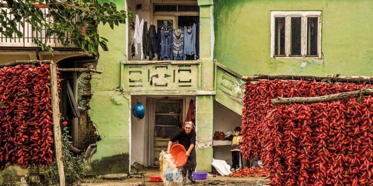 Izložene fotografije Milana Živkovića u galeriji Centra za kulturu Kovin