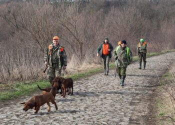 Hajka na lisice i šakale u dolovačkom ataru 25. februara