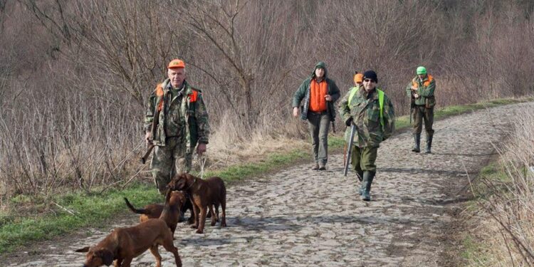 Hajka na lisice i šakale u dolovačkom ataru 25. februara