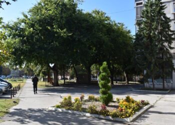 Kovin: Poziv za javnu raspravu o izmenama i dopunama lokalnog akcionog plana za rodnu ravnopravnost
