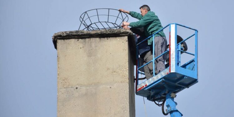 Gnezdo za rode