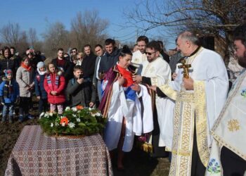 Plivanje za Časni krst u Opovu: Ivana Kostić ponela Bogogojavljanski plašt