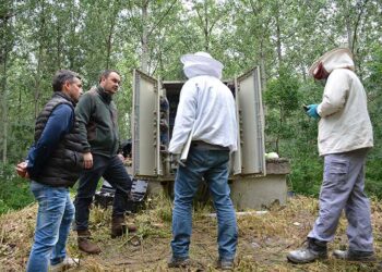 JP Mladost Opovo: Ispitavanje i saniranje kvarova na bunarima