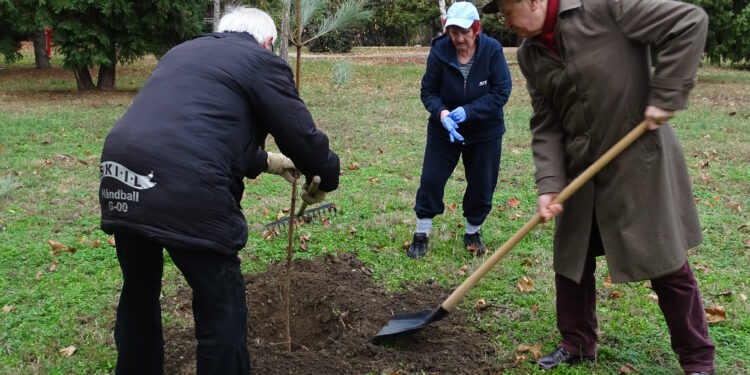 Nedelja za zelenije „Gerontološki centar“