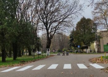 U Debeljači organizovan kuglaški turnir