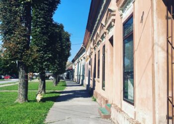 Opet pokušaj podmićivanja za glasove u Kovinu!