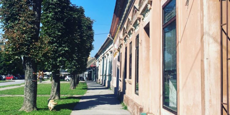Opet pokušaj podmićivanja za glasove u Kovinu!