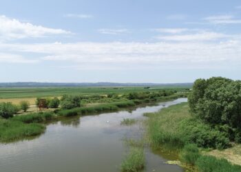 Za Park prirode Ponjavica 500.000 dinara od Pokrajine