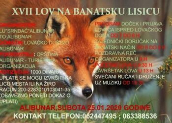 Lov na Banatsku lisicu