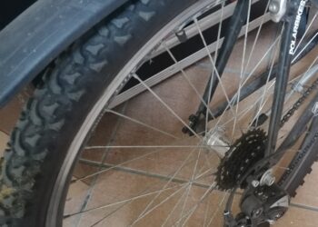 Policija pronašla polovinu ukradenih bicikala