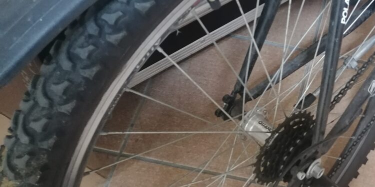 Policija pronašla polovinu ukradenih bicikala