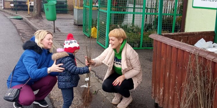 Na Zelenoj pijaci u Pančevu deljene sadnice belog jasena