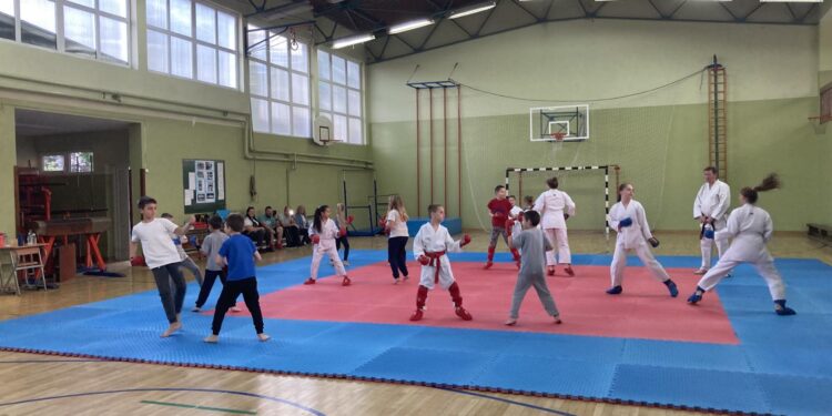 Karatisti Kovačice dobili tatami za treninge u školi “Mlada pokolenja”