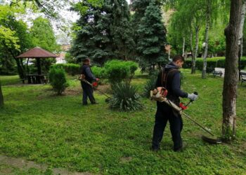 JKP “ZELENILO”: Svim kapacitetima do uređenijih i lepih javnih zelenih površina