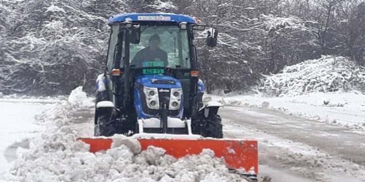 Radnici JKP Zelenilo i JKP Higijena Pančevo neprestano na terenu