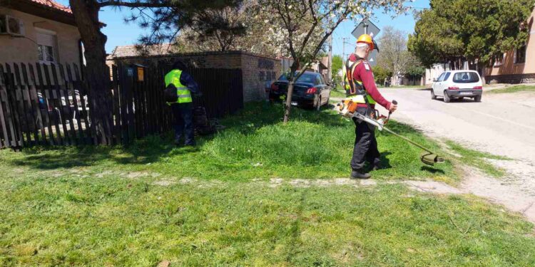 JKP Zelenilo: intenzivirano košenje javnih zelenih površina u Pančevu