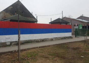 Srpska trobojka na Zelenoj pijaci