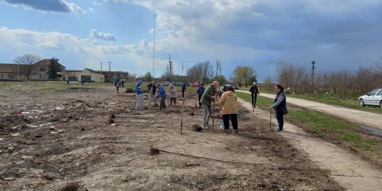 200 sadnica sibirskog bresta zasađeno u Debeljači