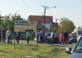 Udes u Omoljici