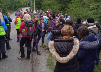 Ustanova za sport Kovin ovog vikenda na Kosmaju realizovala akciju „Vežbanjem do zdravlja“
