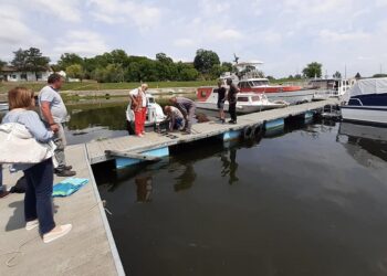 KOVIN: Počeli radovi na proširenju pontona na Dunavcu
